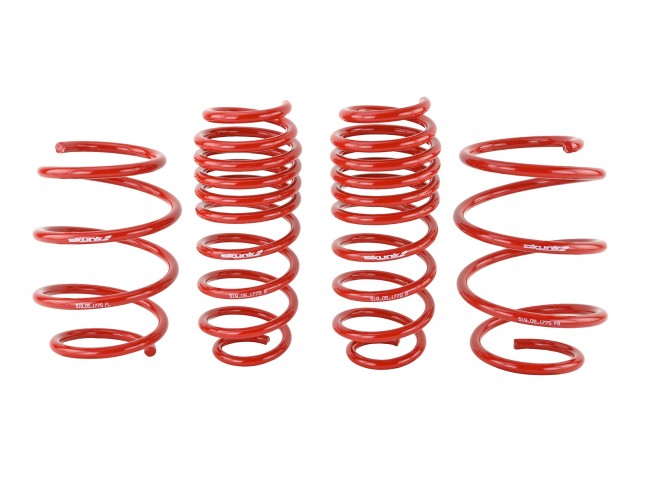 Skunk2 Lowering Springs 2016-2021 Honda Civic LX/EX/Si/Touring(Excluding Type-R) **CLEARANCE**