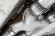 Photo - Close Up
