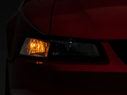 Photo - Close Up