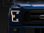 Photo - Close Up