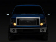 Photo - Close Up