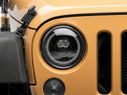 Photo - Close Up