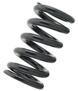 Ressorts Standard Tein (paire) 8KG DI 70mm Longueur Libre 200