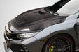 2017-2021 Honda Civic TypeR Carbon Creations EVS Hood - 1 Piece