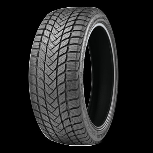 Landsail WINTER LANDER