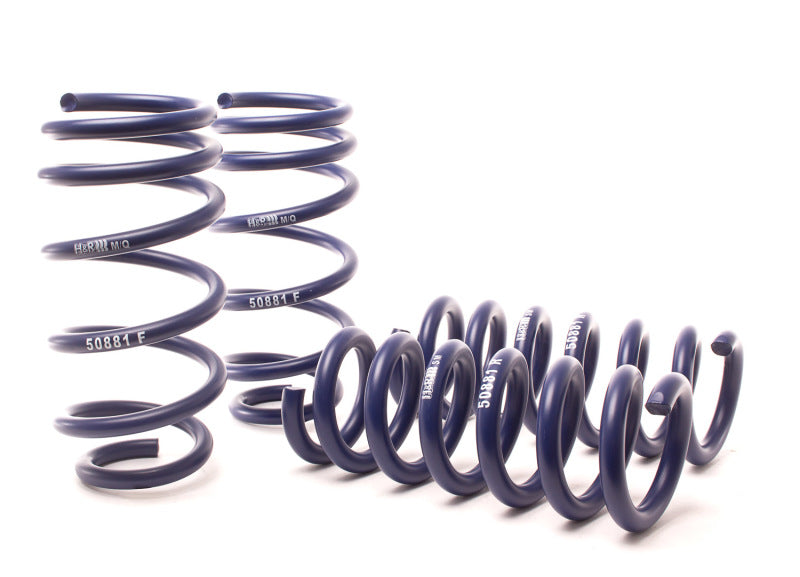 H&amp;R 11-21 Dodge Charger SE/SXT/SXT Plus (2WD/4WD) Rallye/Plus/V6 Sport Spring
