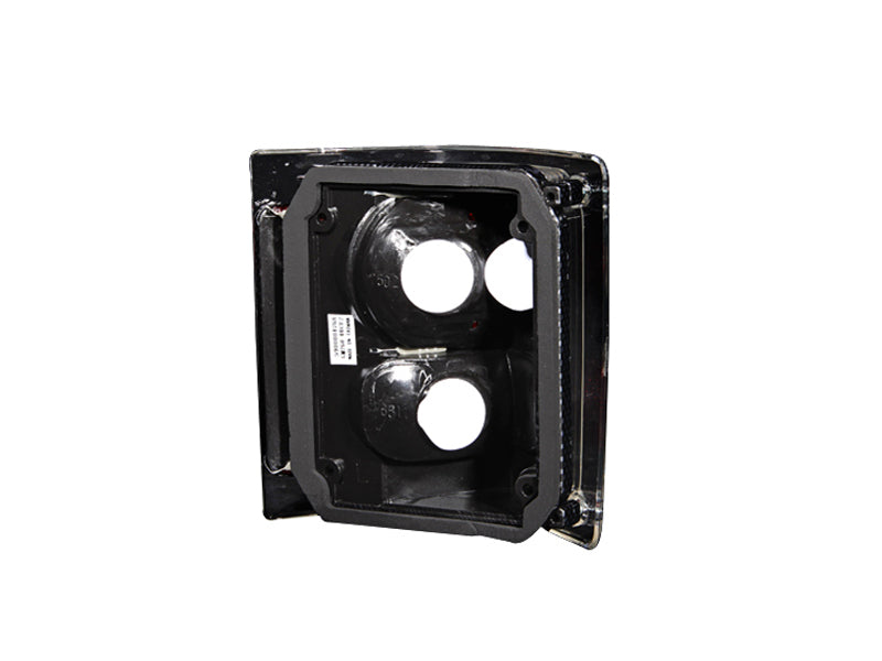 ANZO 1973-1987 Chevrolet C 10 Feux arrière Carbone