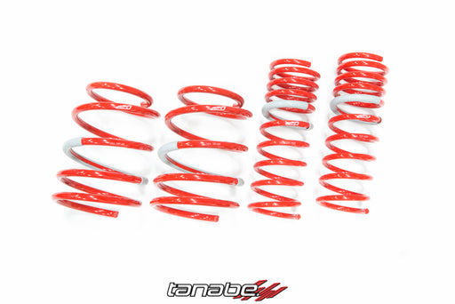 Tanabe DF210 Springs 09-14 Fit
