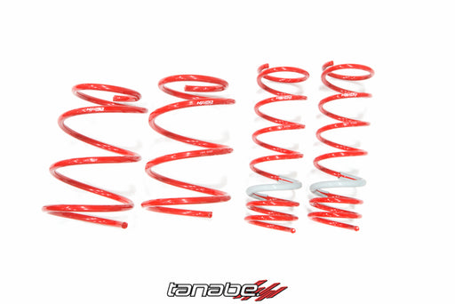 Tanabe NF210 Springs 10-14 Cube
