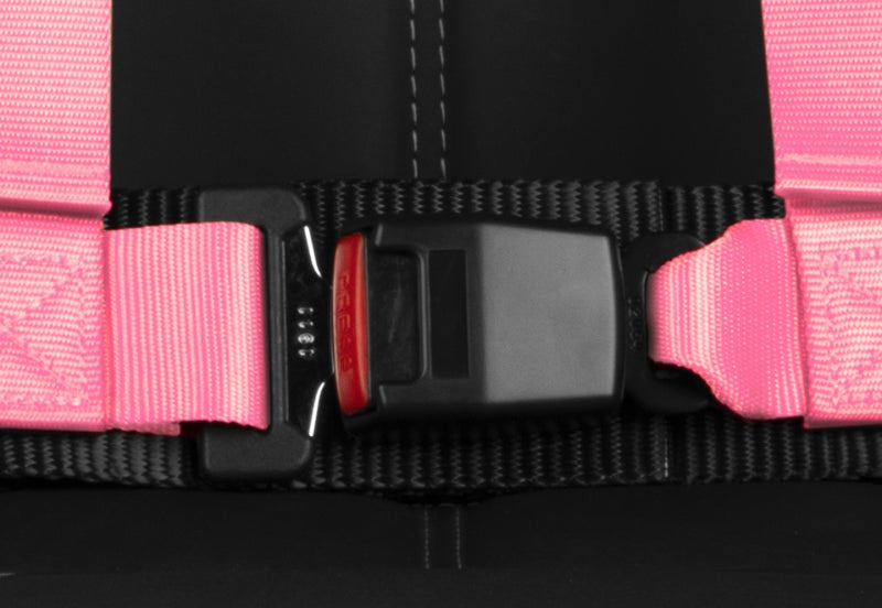 4 Point 2-inch Racing Harness - Pink