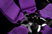 5 Point 3 inch SFI Approved Racing Harness - Purple