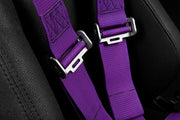 5 Point 3 inch SFI Approved Racing Harness - Purple