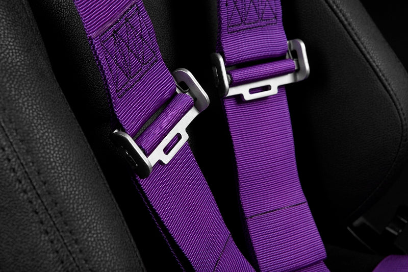 5 Point 3 inch SFI Approved Racing Harness - Purple