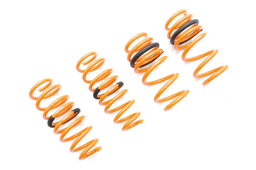 Tesla Model 3 AWD 17+ (EXC RWD) Lowering Springs - MR-LS-TSL317X