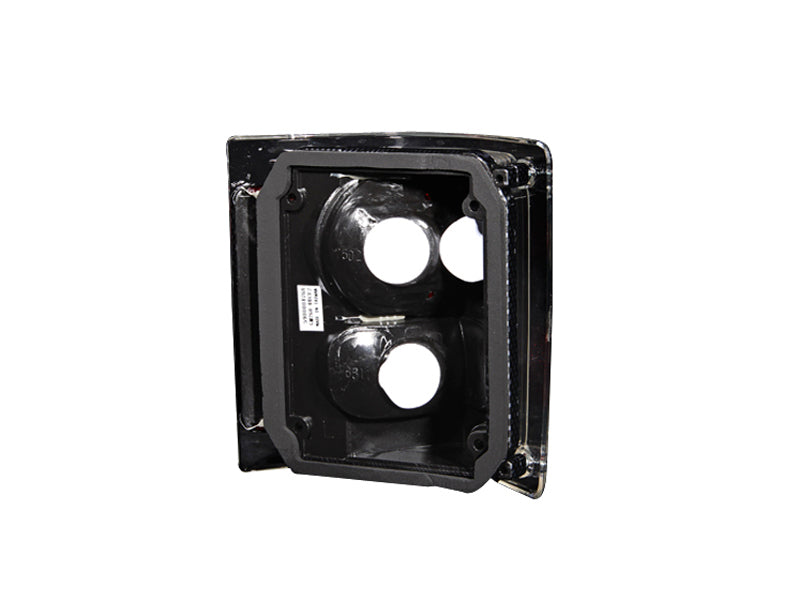 ANZO 1973-1987 Chevrolet C 10 Feux arrière Carbone