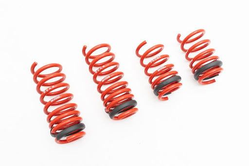 Audi R8 17+ (V10 Only) Lowering Springs - MR-LS-AR817