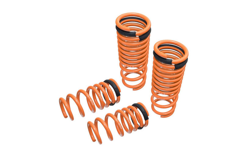 Lowering Springs for Nissan GT-R (R35) 09-15 - MR-LS-NR35