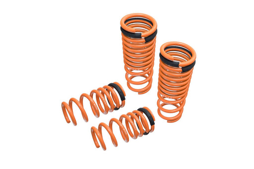 Lowering Springs for Nissan GT-R (R35) 09-15 - MR-LS-NR35