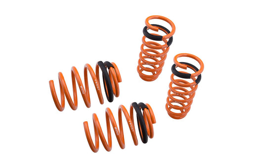 Lowering Springs for Nissan Sentra/SE-R 07-12 - MR-LS-NS07