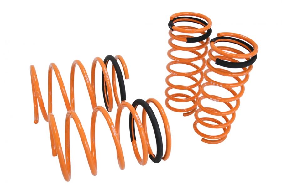 Lowering Springs for Nissan 240SX 95-98 S14  - MR-LS-NS14