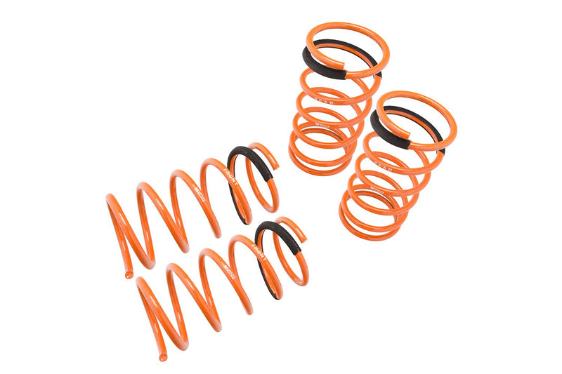 Lowering Springs for Nissan Sentra 89-94  - MR-LS-NS89